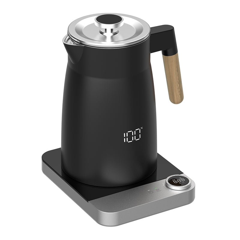 Hotsy W19A-A2 Bpa Free 1.7L Stainless Steel Electric Kettle Digital Control