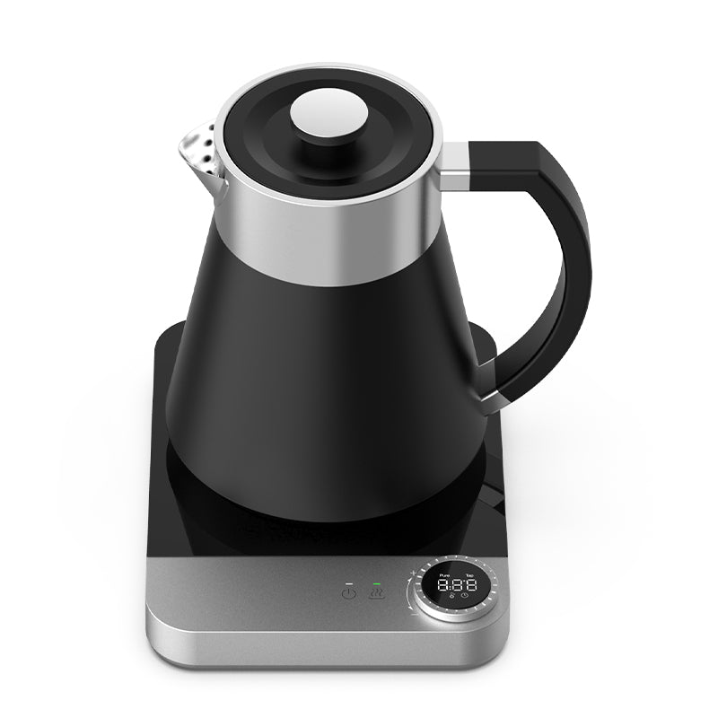 Hotsy WA15-A1 Digital Stainless Steel Electric Kettle