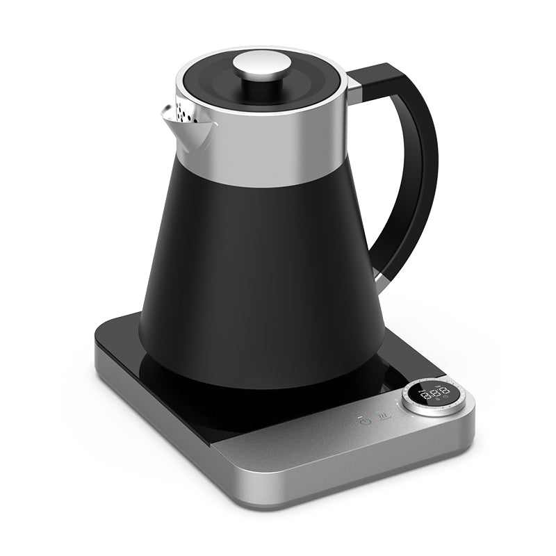 Hotsy WA15-A1 Digital Stainless Steel Electric Kettle