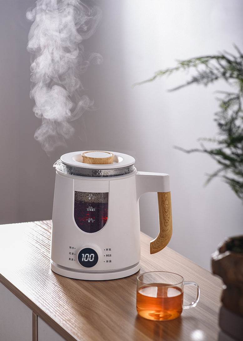 Hotsy-Y08 0.8L mini electric kettle